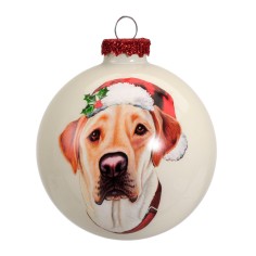 Bauble glass glanz dog 4ass Border Collie