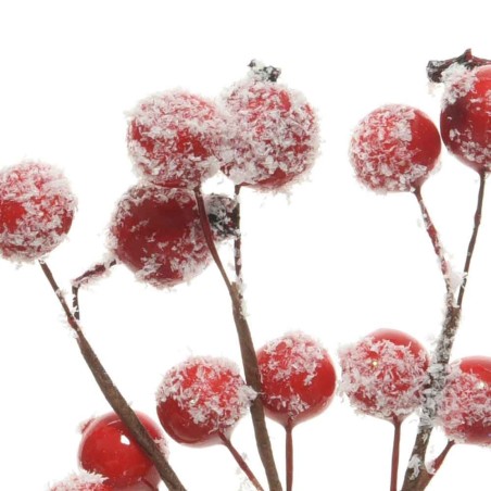 Spray foam snow berries