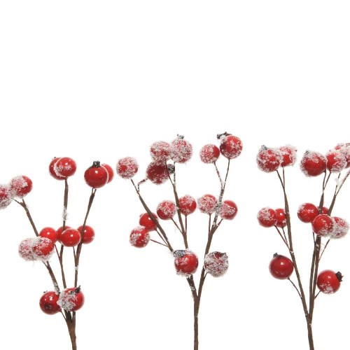 Spray foam snow berries