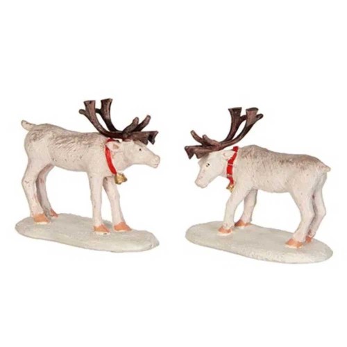 Reindeer Luville