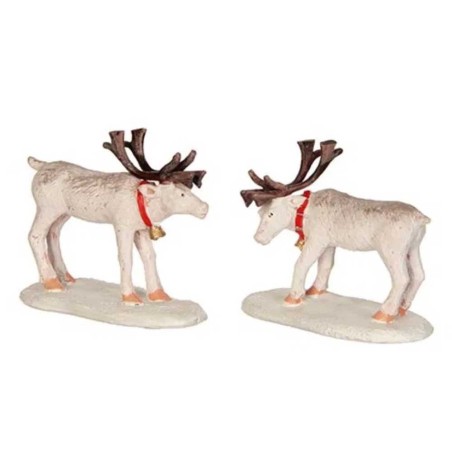 Reindeer Luville