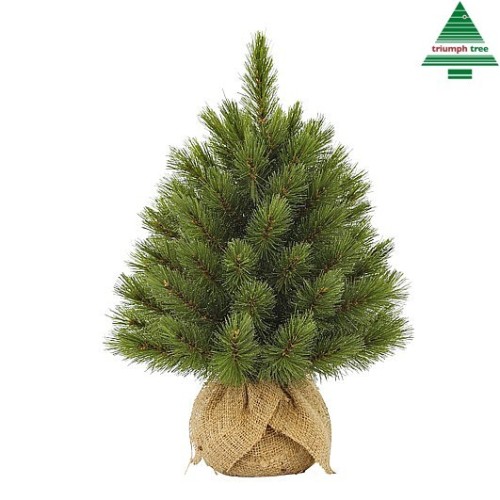 Forest frosted burlap green 60x45cm