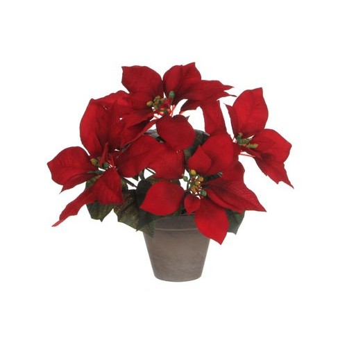 Poinsettia 27x35cm