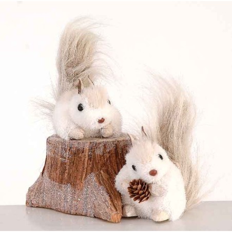 20cm Grey squirrels above a tree