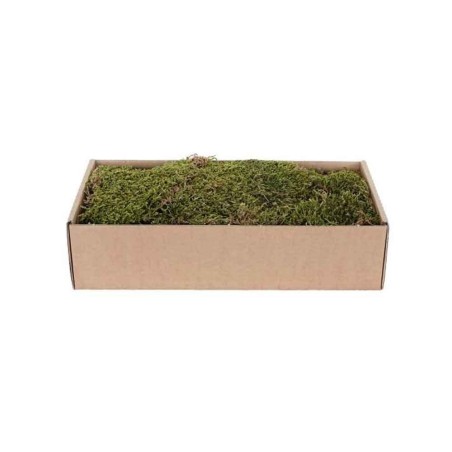 Flat Moss Dried Green/Brown 500g