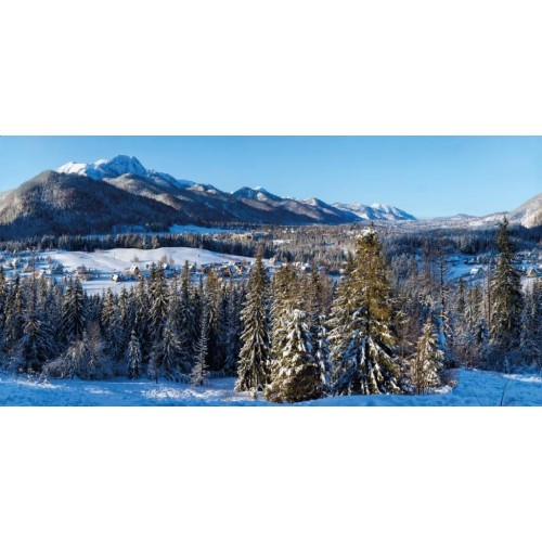 Background Cloth Winter Village XL 300x150cm