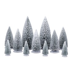 White Pine Trees