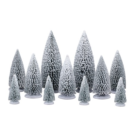 White Pine Trees