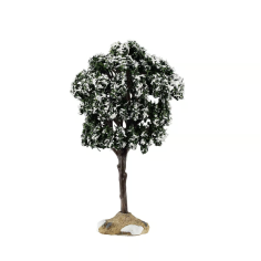 Balsam Fir Tree, Small