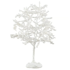 Black Walnut Tree