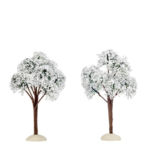 Mountain pine 2 pieces - h12xd7cm